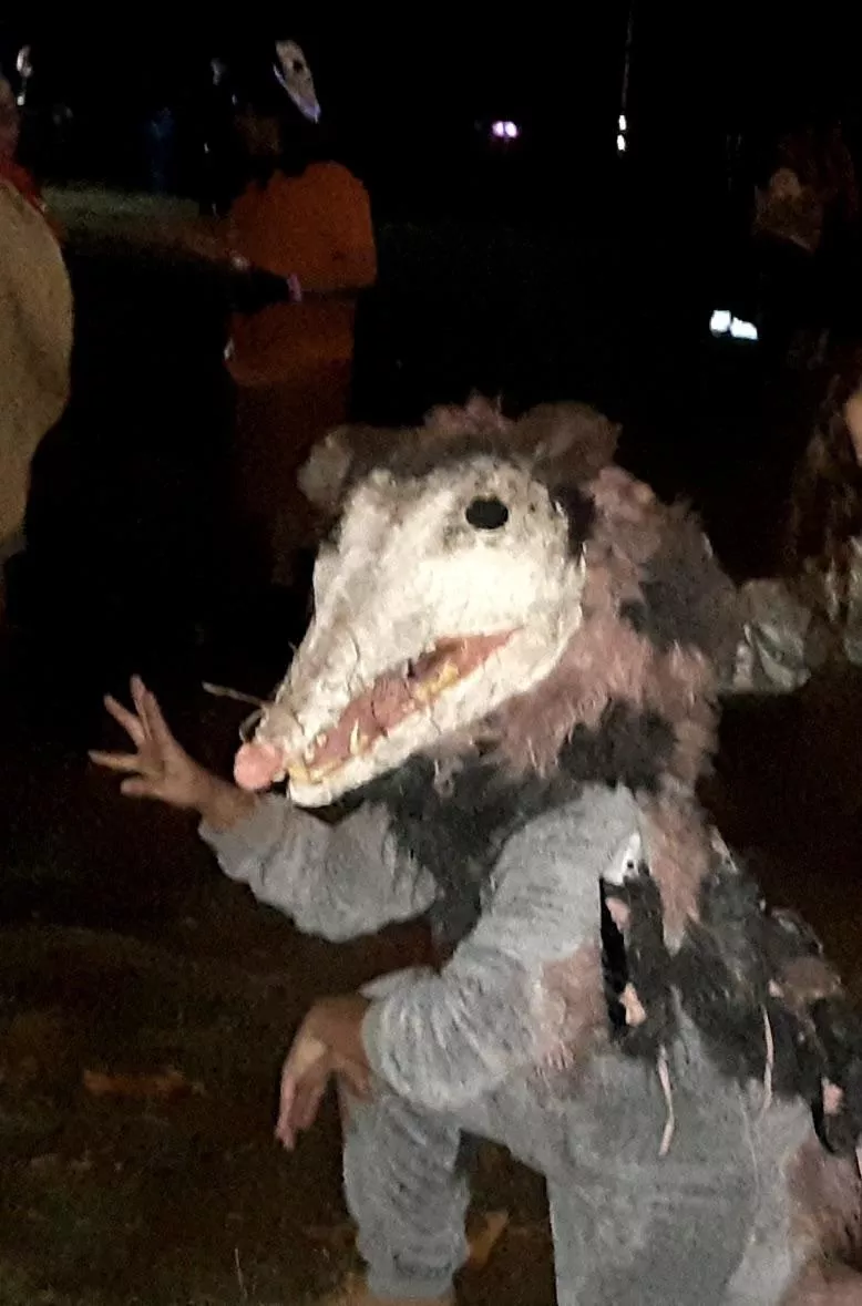 I was texting my mom and she told me she went to a Halloween party where she encountered this fursuit. She told me the lady made it all by hand. To me, this is so blursed I had to share posted by PinkipooEveleen