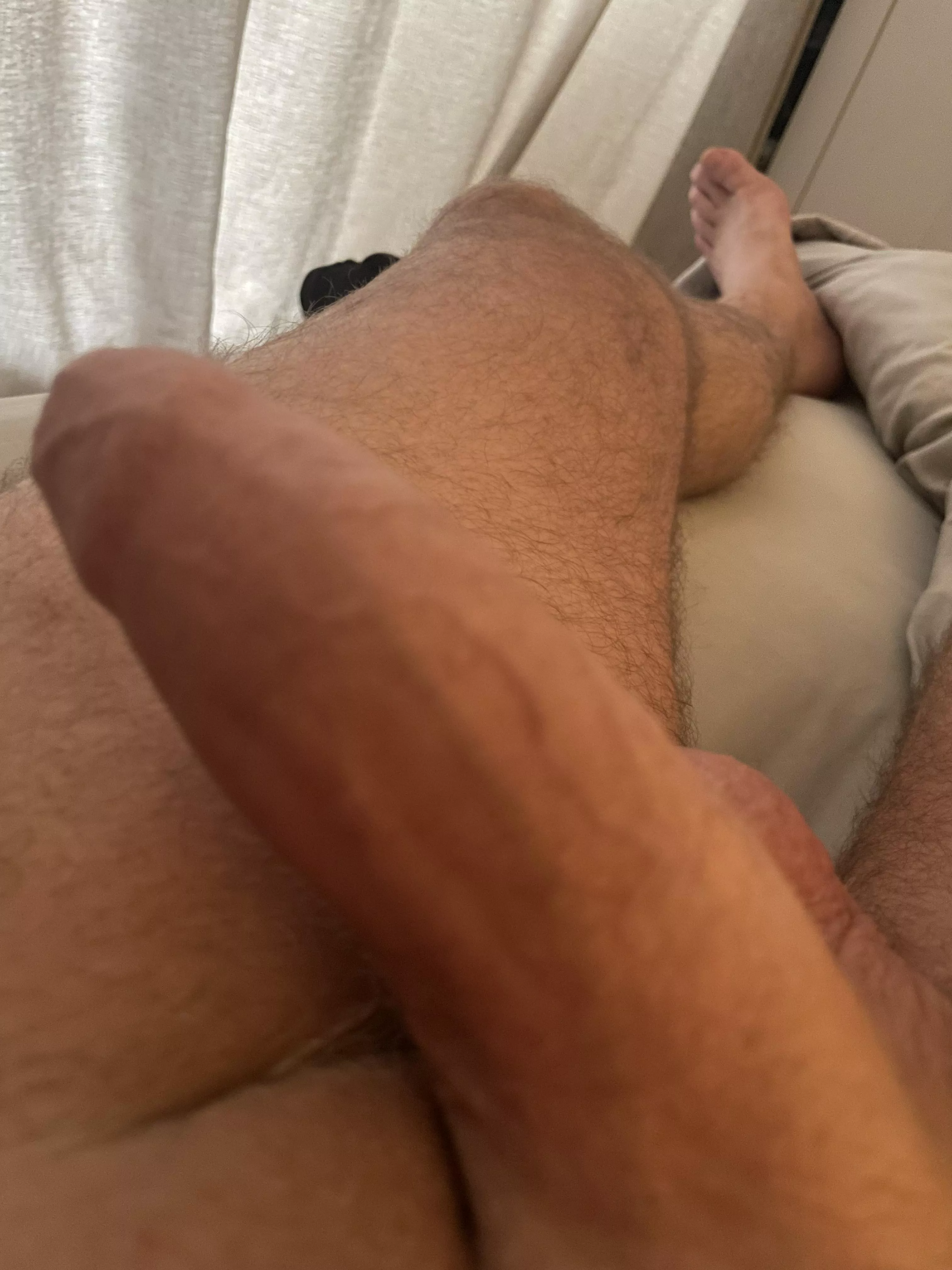 Morning glory..(54).. posted by Comfortable-Farm8361