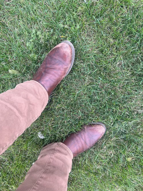 Need cleaning/polishing tips by Embarrassed-Drag1743