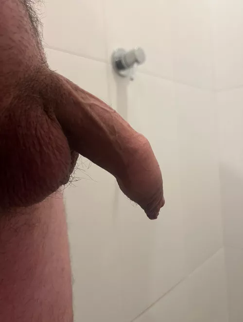 What do you think by gp1992matt