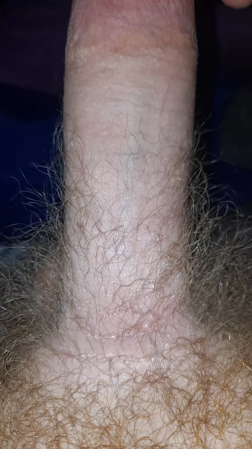 What do you think? by Lost_Collection3583