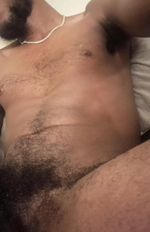 Where are you going to sniff first? by After_Pin_2448