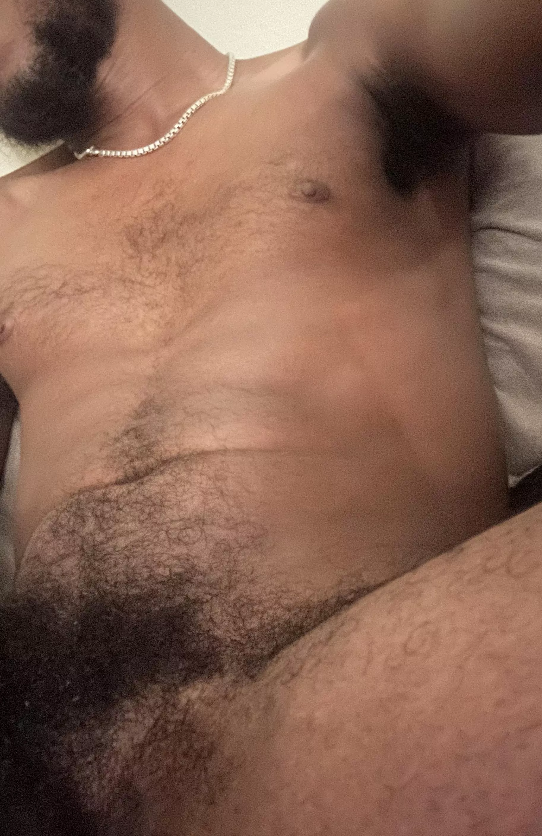 Where are you going to sniff first? posted by After_Pin_2448