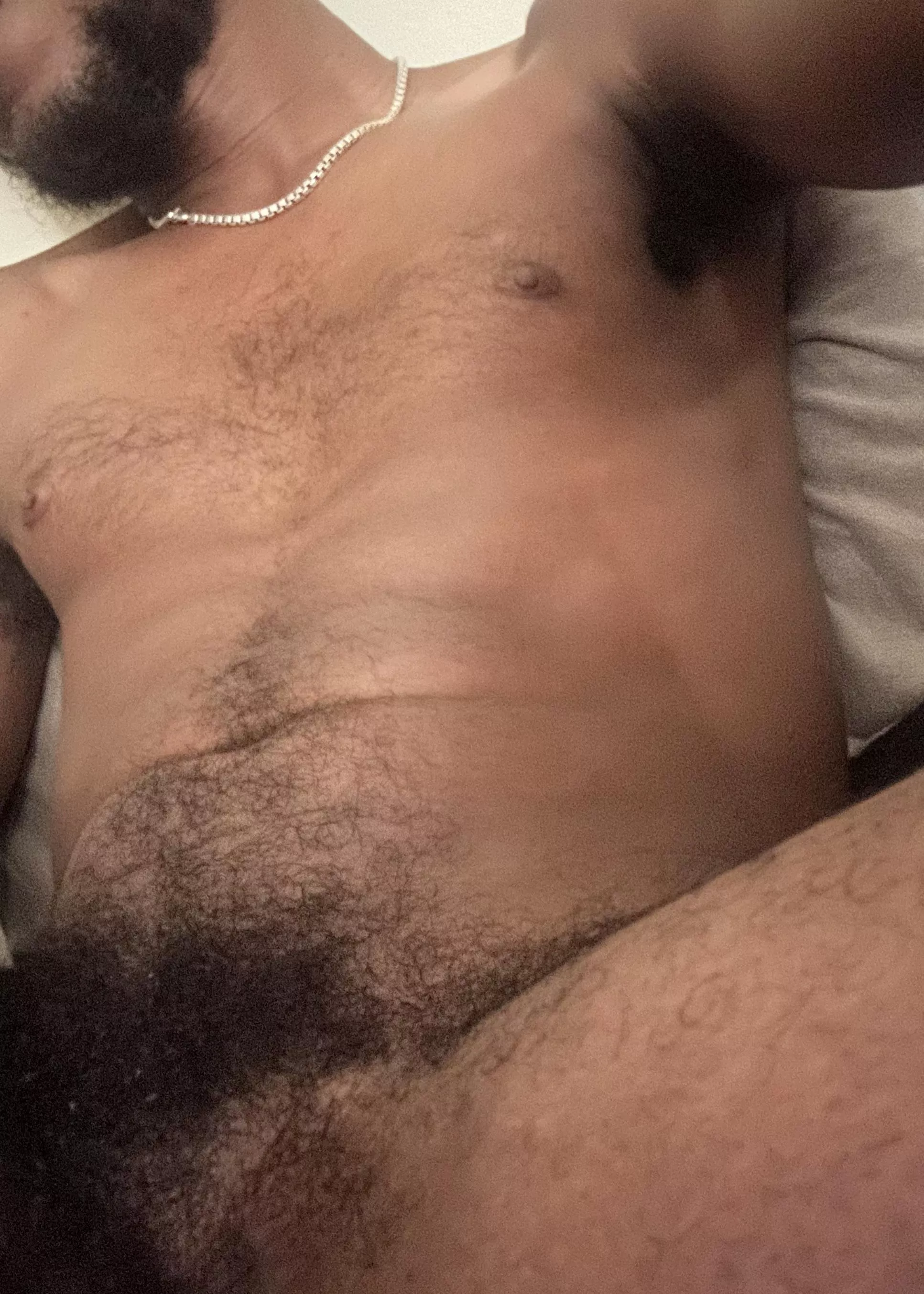 Where are you gonna sniff first? posted by After_Pin_2448