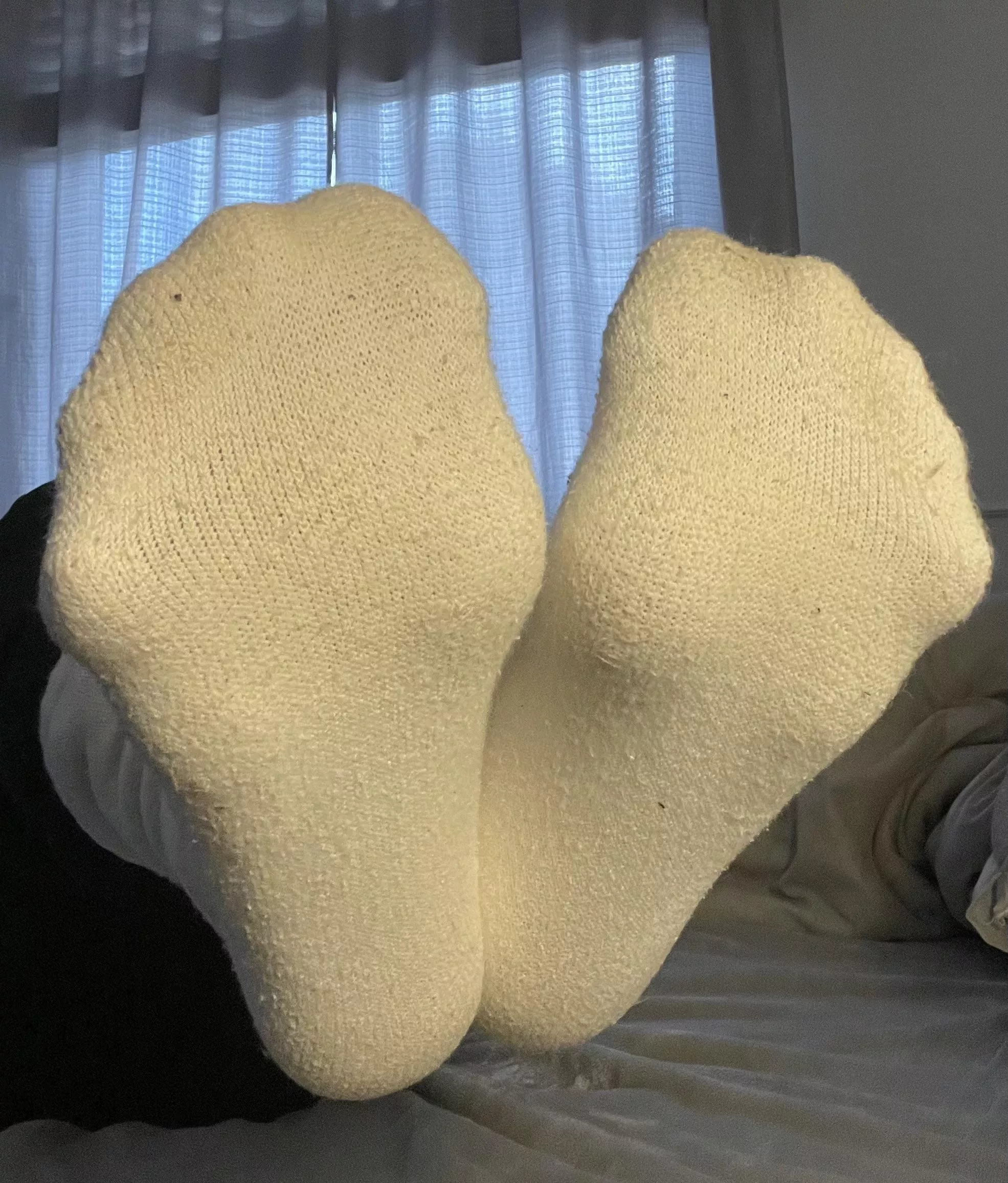 Been wearing these for a few days posted by SoftSocks_