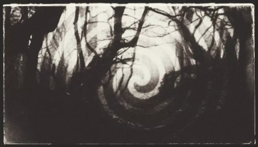 Carrier of the Dark Forest (Sybiotic Story) by BrutPane