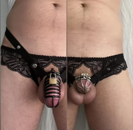 Chastity comparison, first cage and current cage by CanonicNut