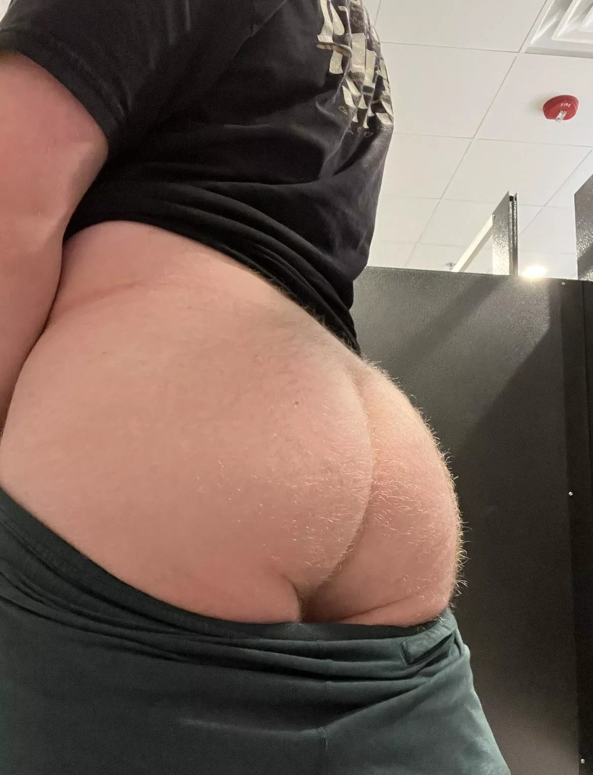 Cub 23 posted by Velroto