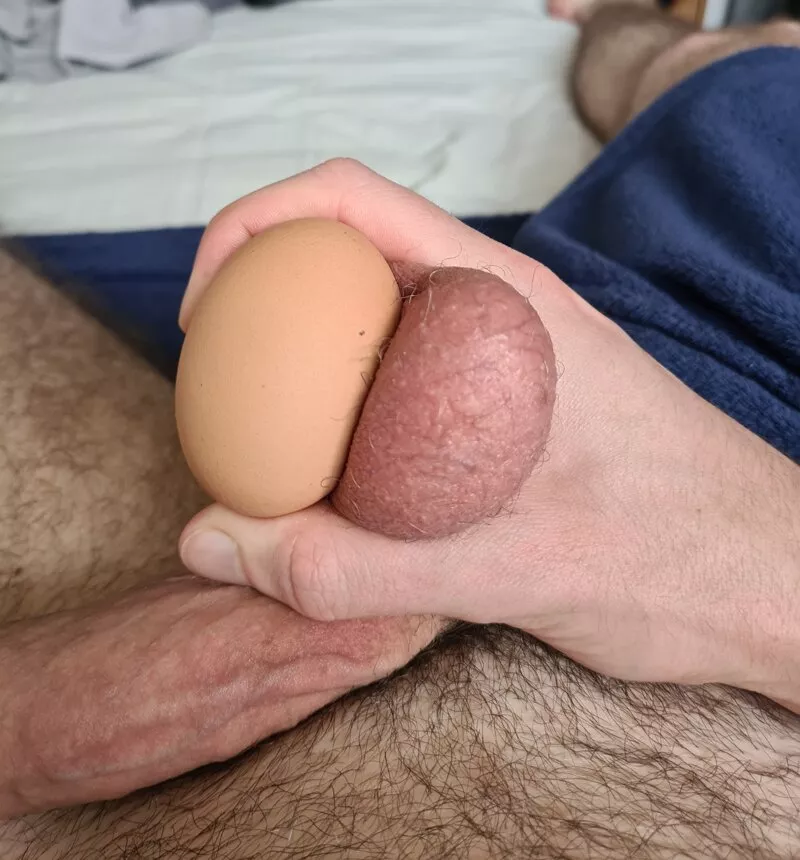 do we do balls here? posted by L1ckOwnDickNick