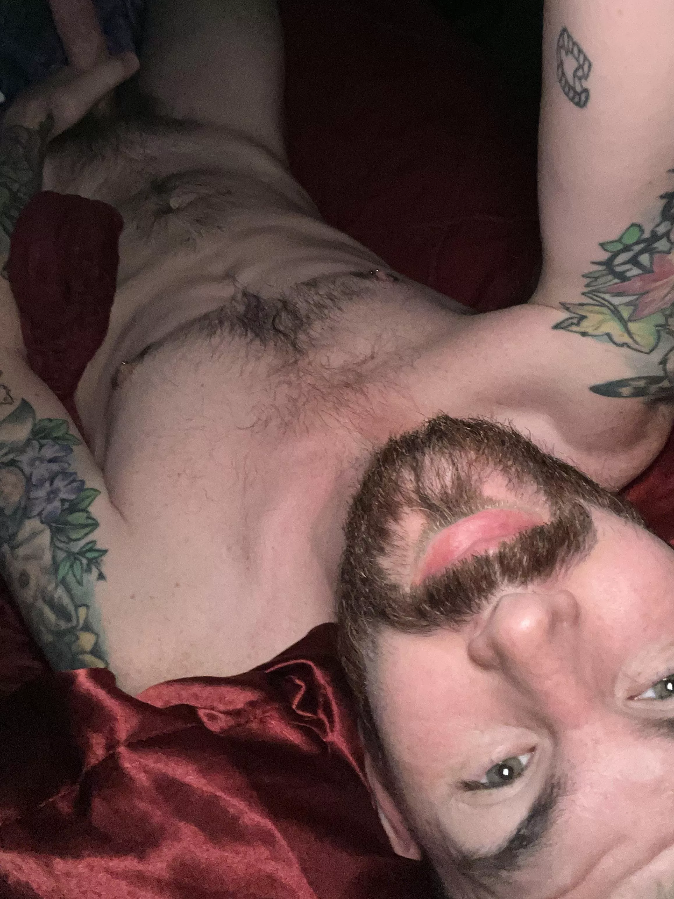 Happy Sunday. don’t make me get out of bed posted by jekyll_jacob