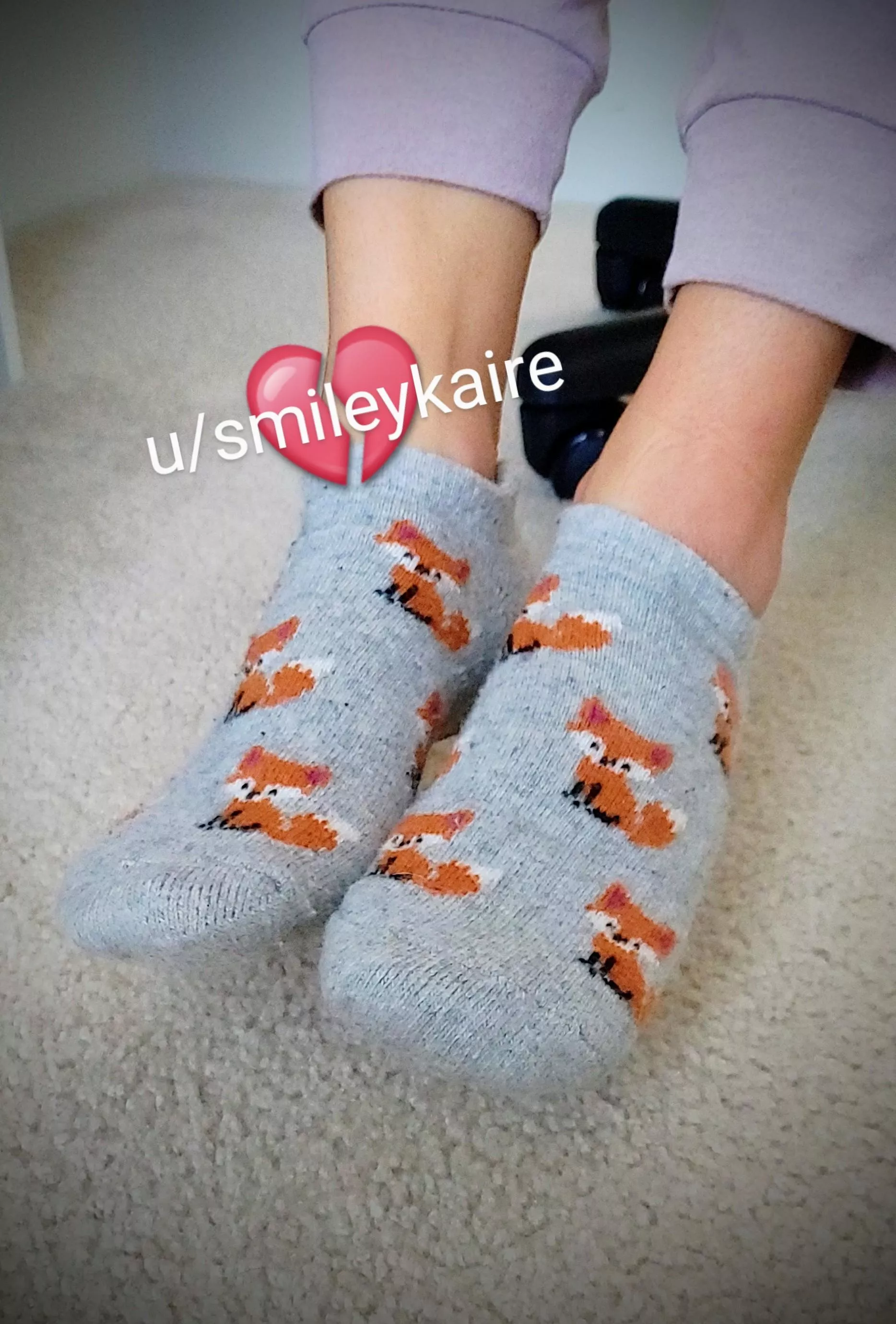 Hmmm, do wool socks count as sock material or is this another violation 😛 (oc) [f] posted by smileykaire