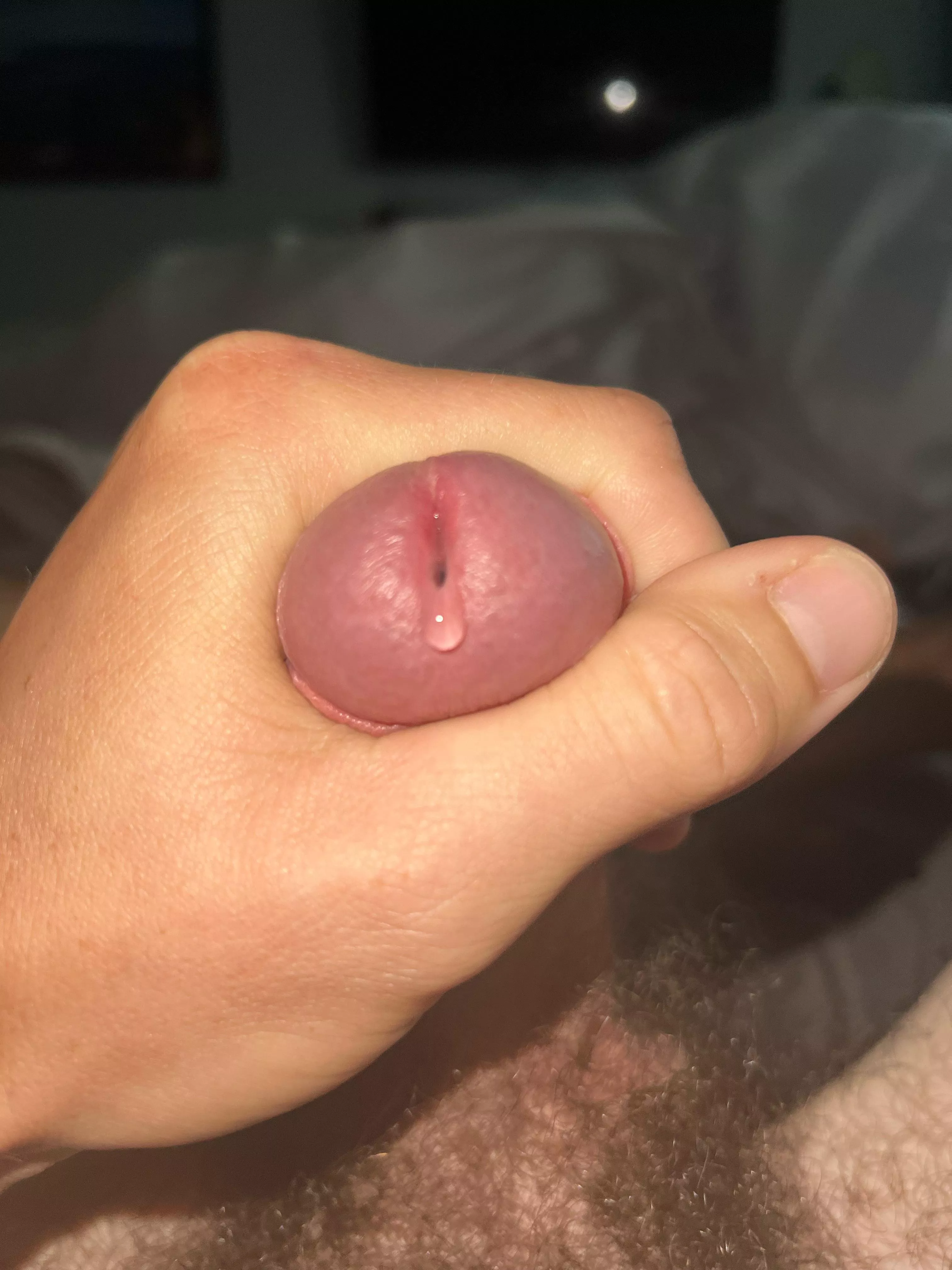 Morning drip posted by BendRemote3125