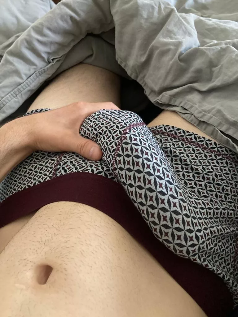My morning bulge posted by panter-rhei