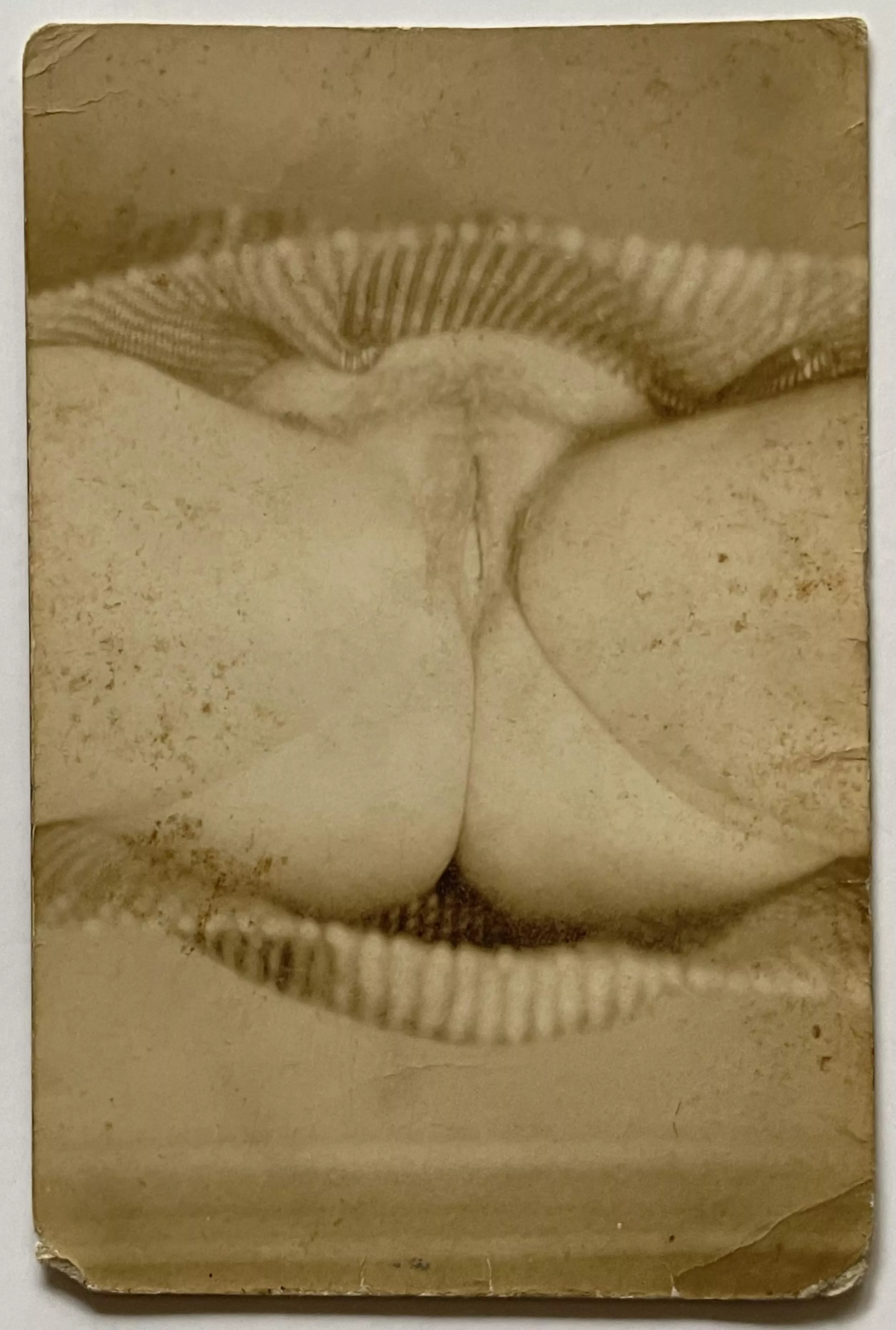 Upskirt (1950s) posted by ahilava
