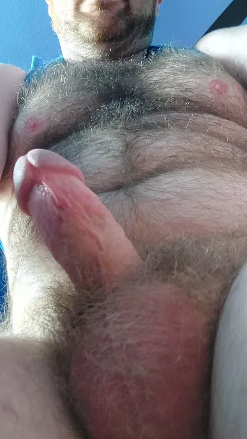 Whatcha think about this pocket daddy bear here, y'all? by wumpacub