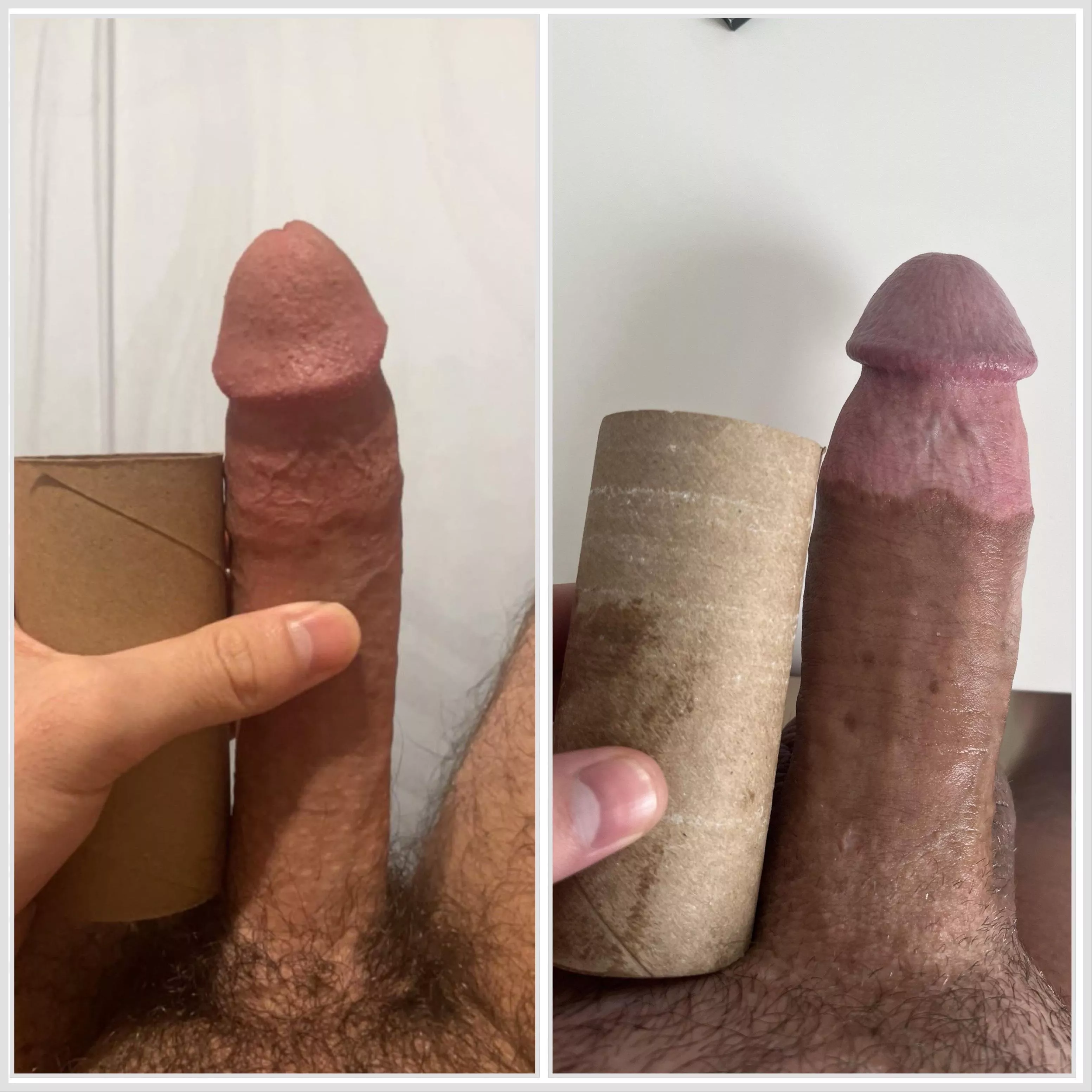 Which one are you rolling with, why? posted by bddylan