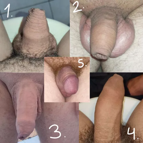 Which one is the best looking softie? by Latino-88