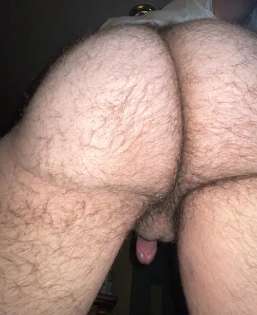 Who wants it? by Jolly_Hat_6560