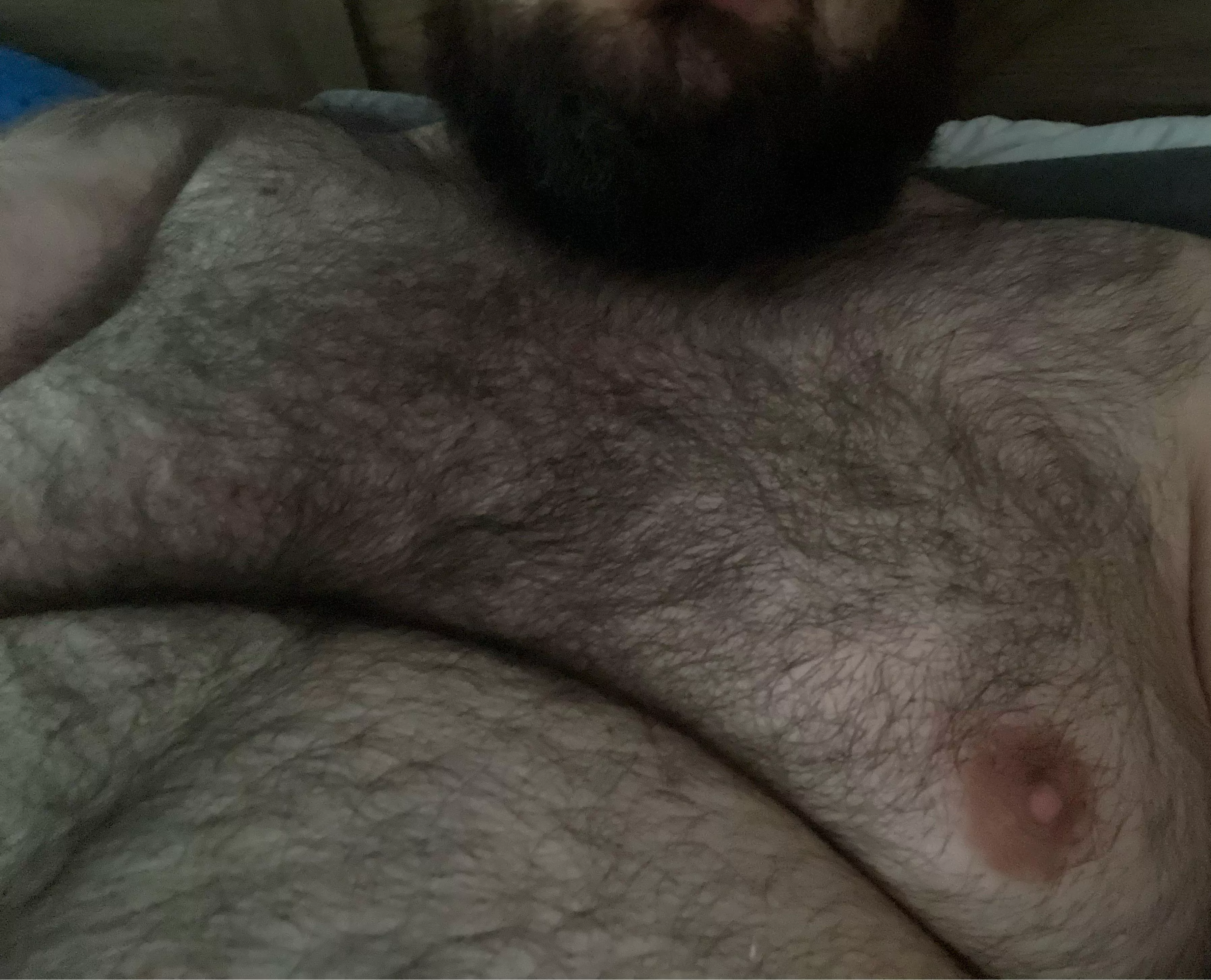 You going to run your hand through a field or a forest? posted by Sweet_tea991