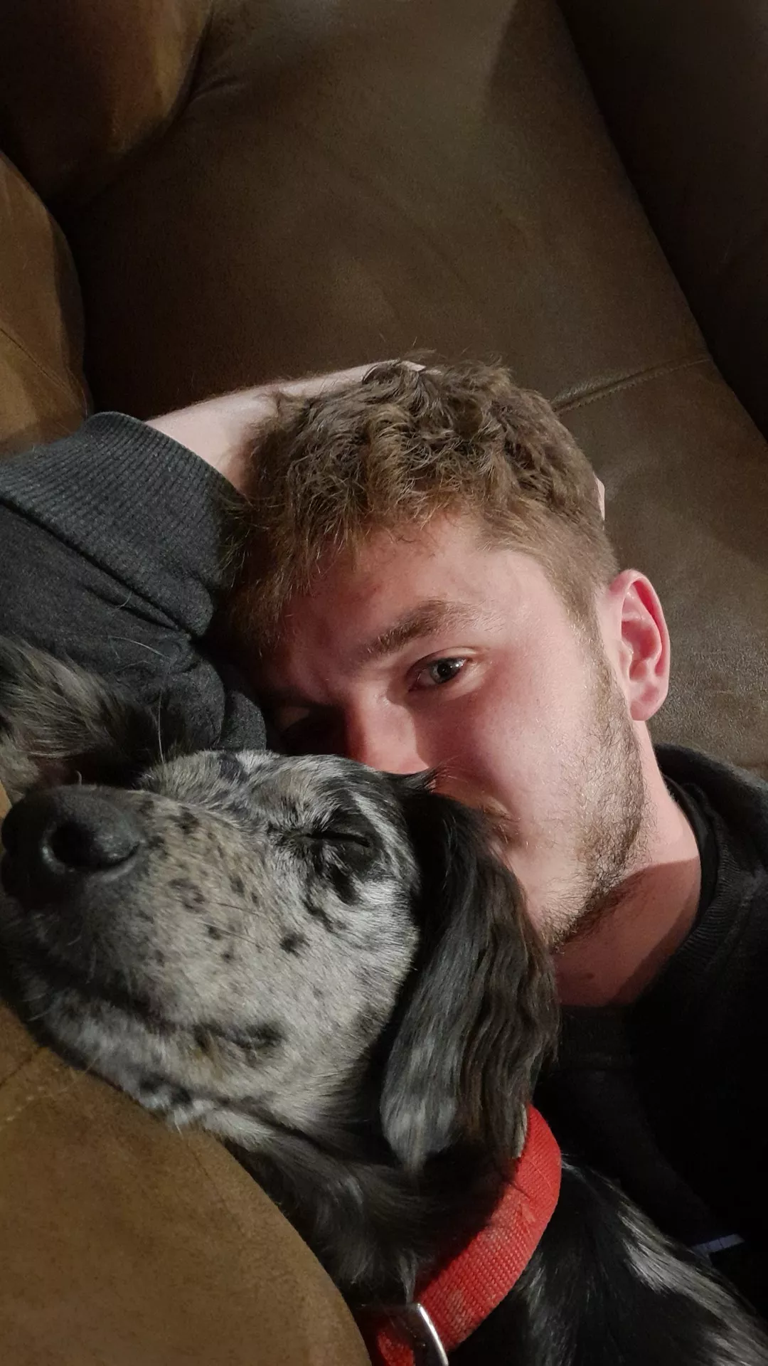 Another day means more morning cuddles! posted by BrbMakingACuppaT