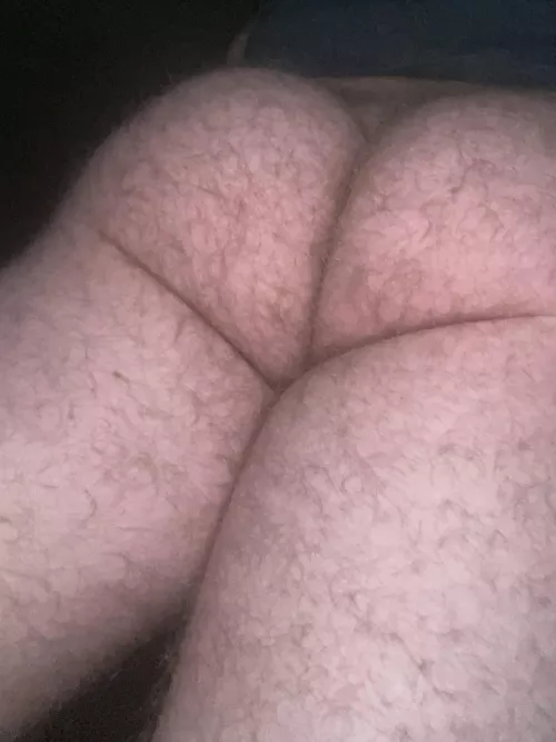 Better hairy or shaved by Electrical-Study1918