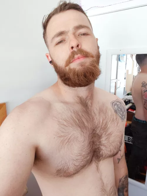 Ello by Grand_Astronaut7049