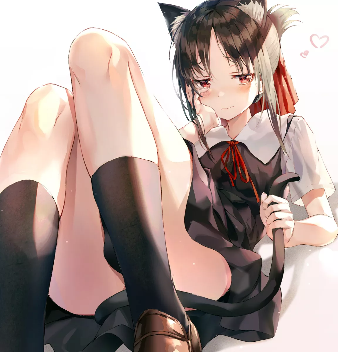 Embarrass cat girl Kaguya (dnwls3010) [Kaguya-sama Love is War] posted by Takuu202