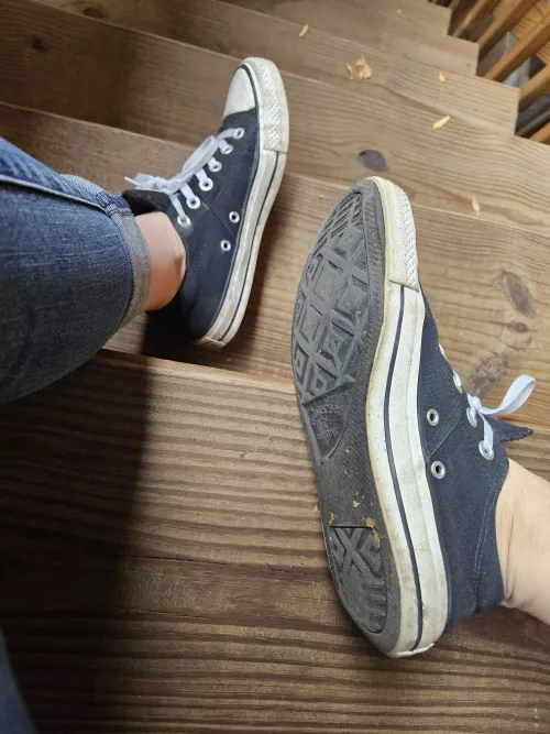 I think it's time for some new Chucks. What color should I get? by willcumforpopplers