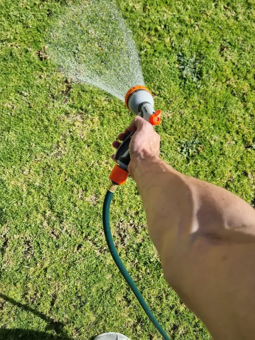 Just your everyday forearm workout by Adelaidesam3