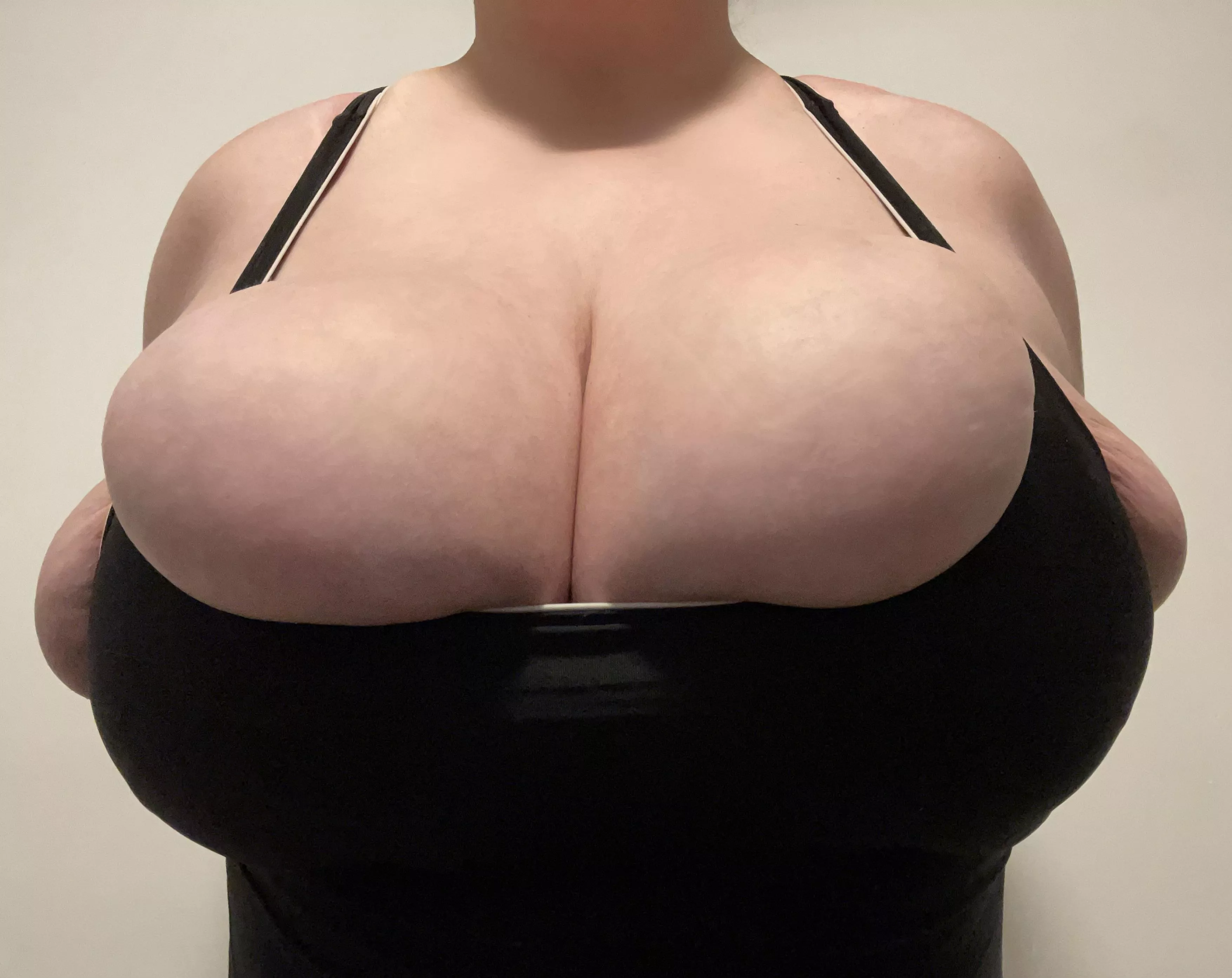 Knockers! posted by Rileslit