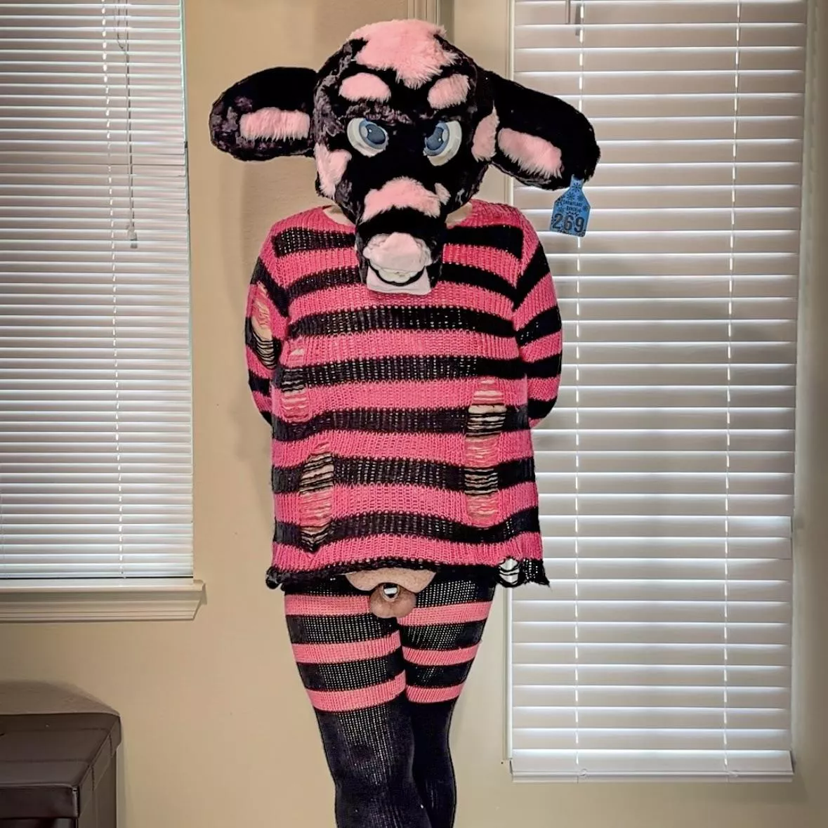 Moo! How might I be of service? 🐮💕💙 posted by Locked_Bleu