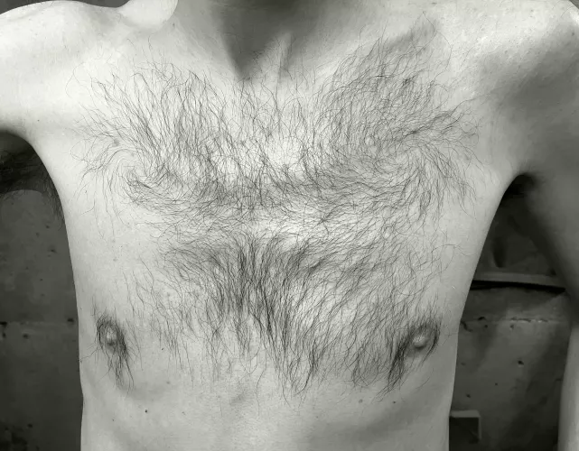 My modest contribution by chaise_longue