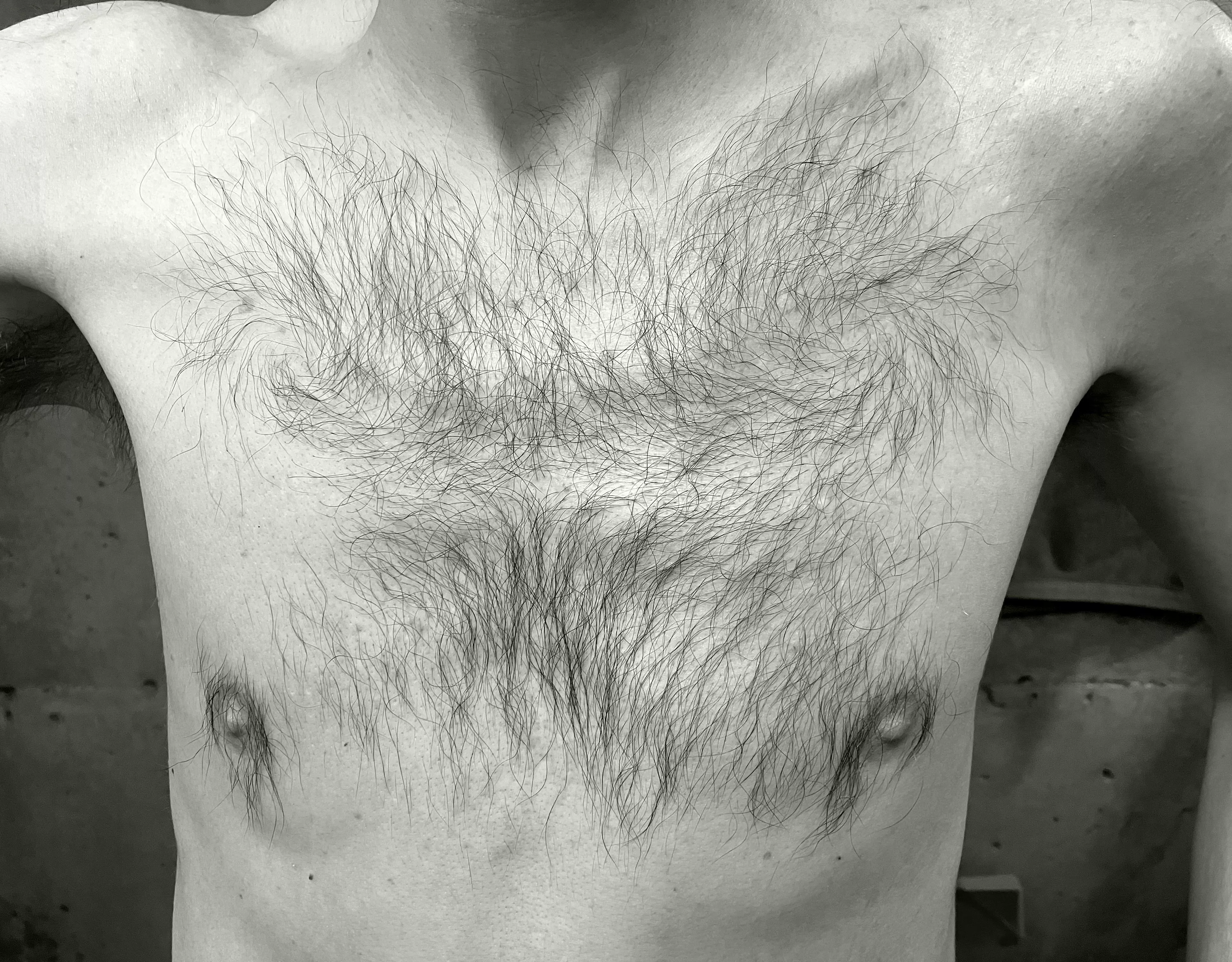 My modest contribution posted by chaise_longue