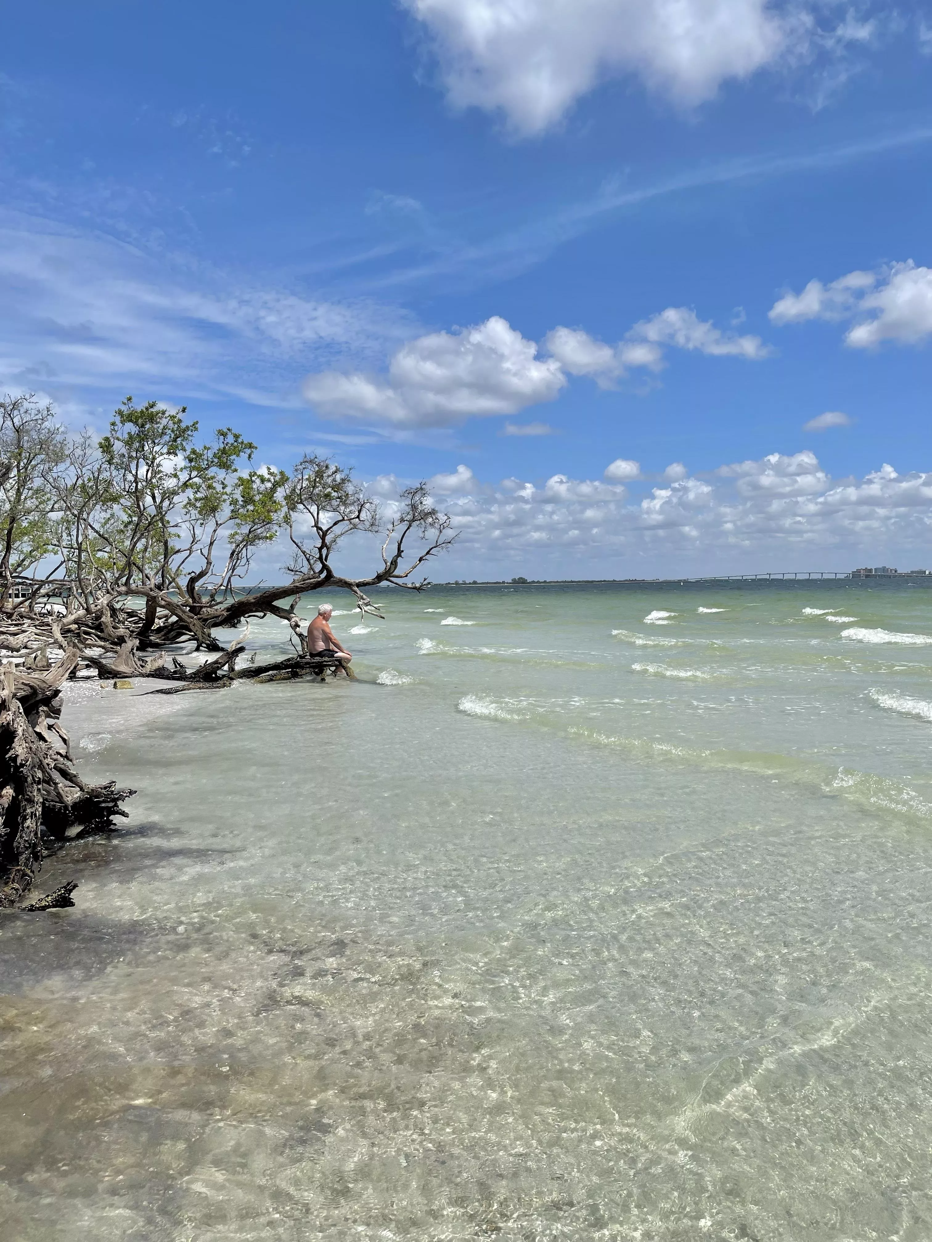 Sanibel Island,Fl posted by Cougar-Delight