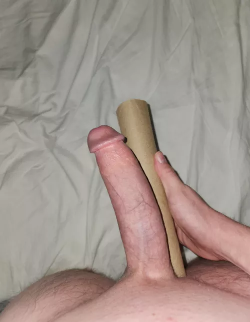 Someone said I should put a paper towel roll next to it. by GrapefruitAlive5447