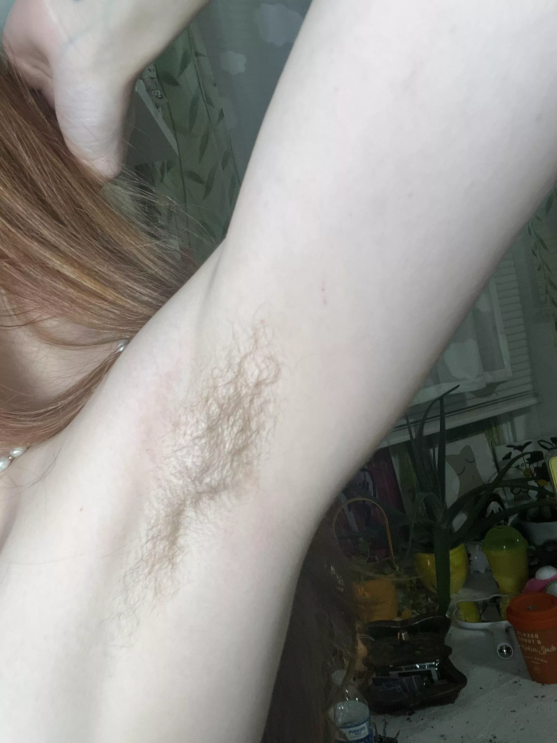 Would you lick hairy armpits posted by Faairyfeet