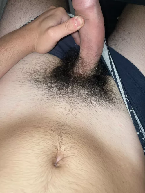 19m always get Horny over extremely hairy guys the hairier the better honestly Add Pickle9918 by NoToday4493
