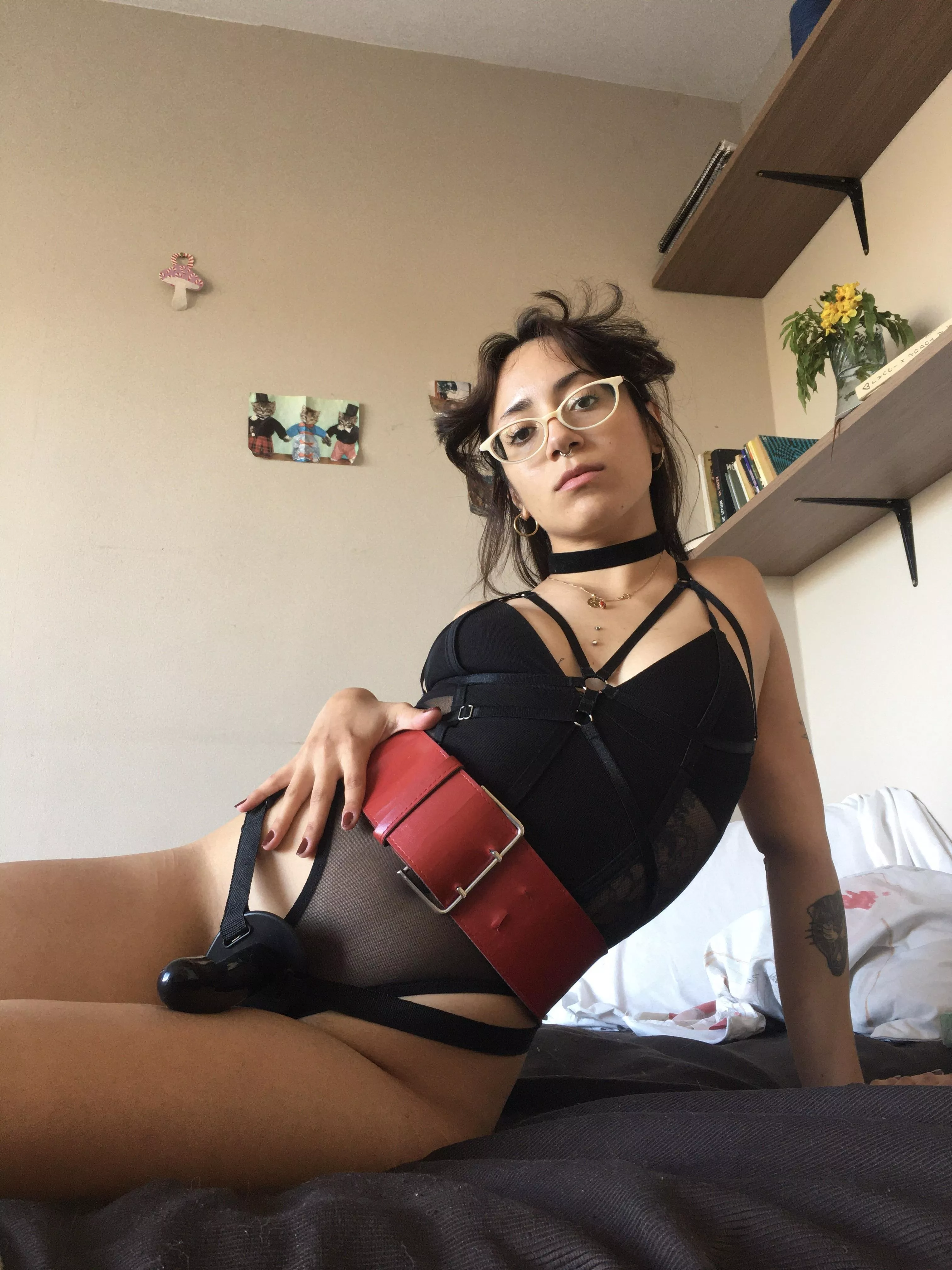 I want to train a puppy posted by troligumi