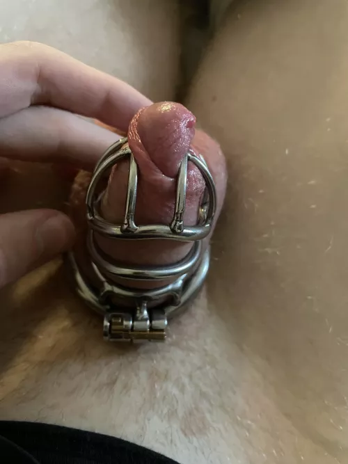 I was super excited to try this new cage but my dick keeps squeezing through. Any idea of how to stop this? by gamergamer769
