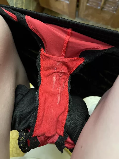 Just A Simple Old Pair Of Red & Black Cheeky Dirty Panties by Hopeful-Plan-5386