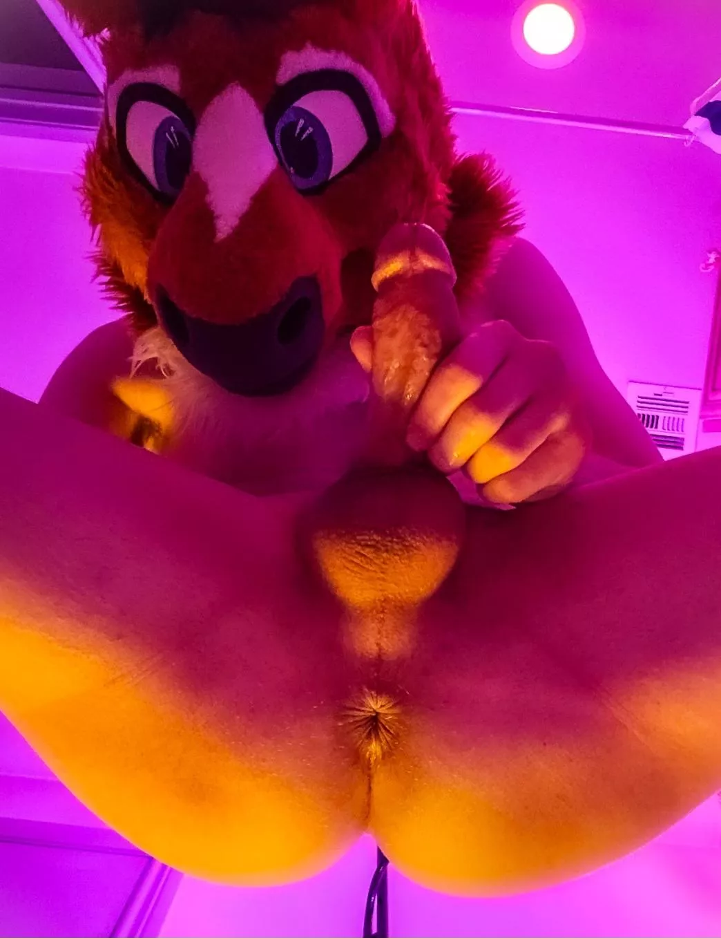 lick me from tip to tail~ posted by WillowHorseAD