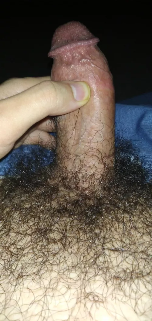 Messy bush and a slightly thick cock by average_rick69