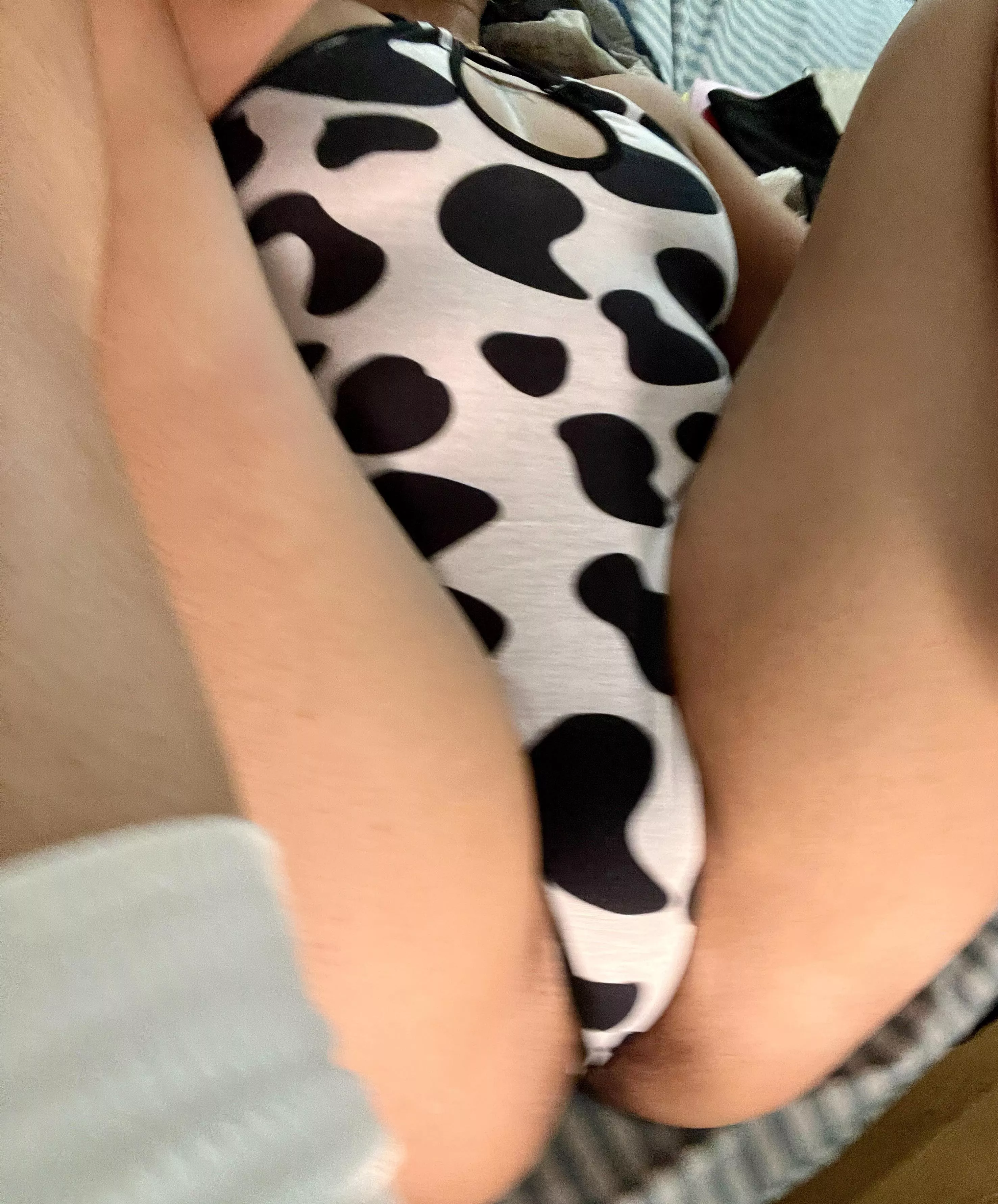 🐮 mooo posted by Anonymouspussy8