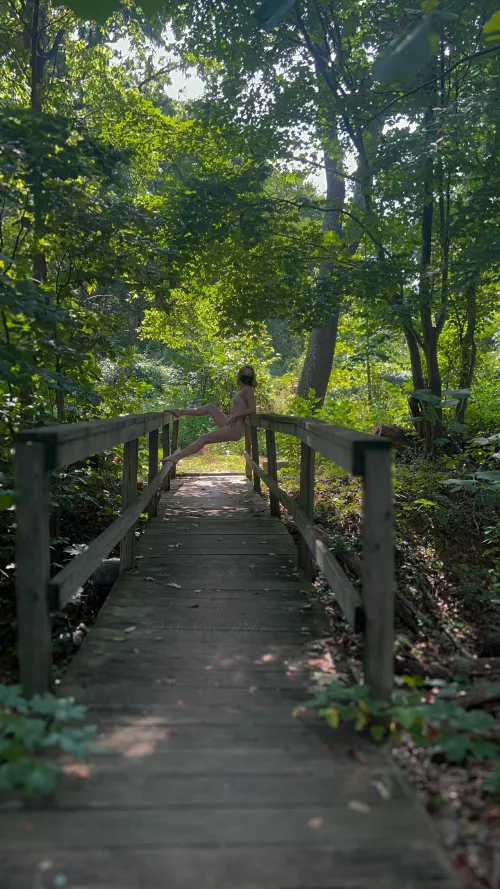 On the wooden bridge by msnovarider