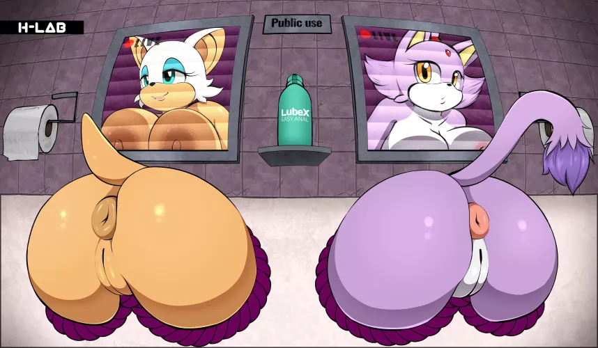 Rouge & Blaze (LabEcchi) by HerveAndObserve