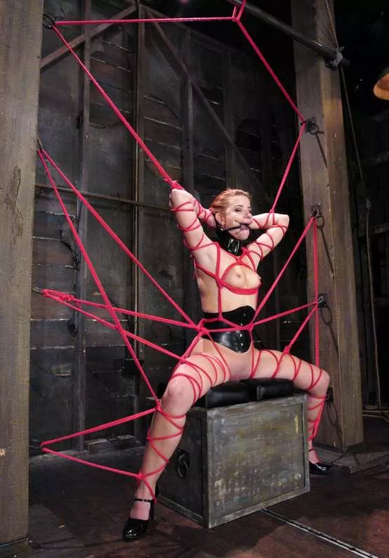 Sarah Blake caught in a web posted by jgoja