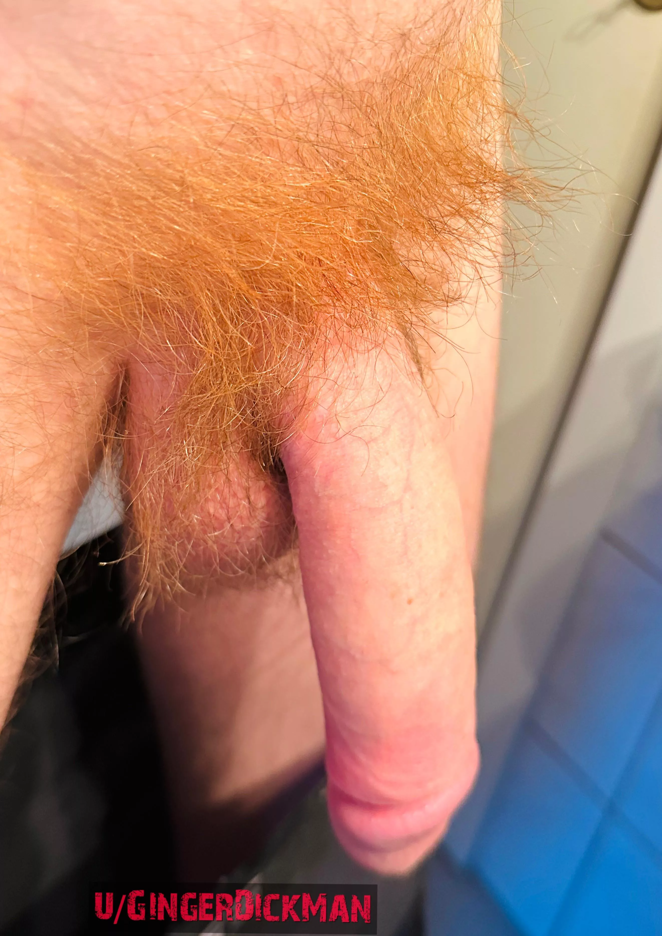 Shall I keep growing my fire crotch for you? posted by GingerDickMan