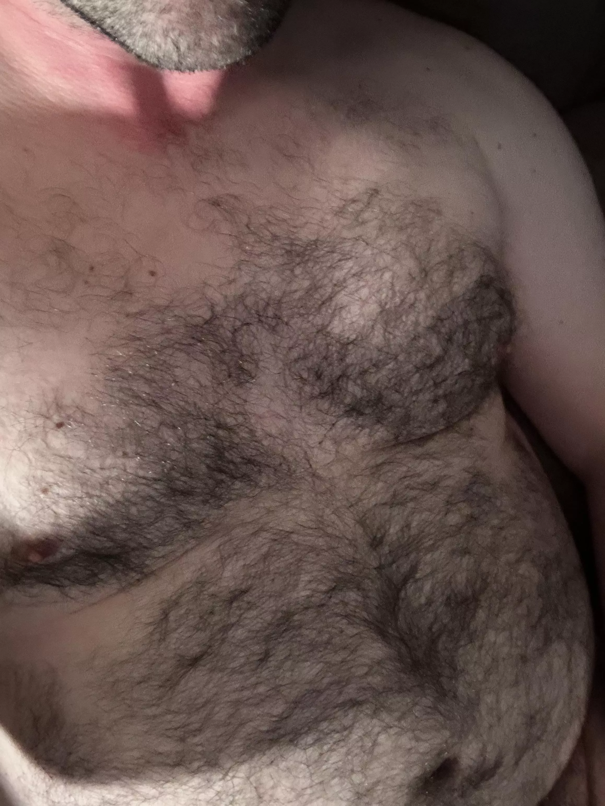 Who wants some fur? posted by mountainfur38