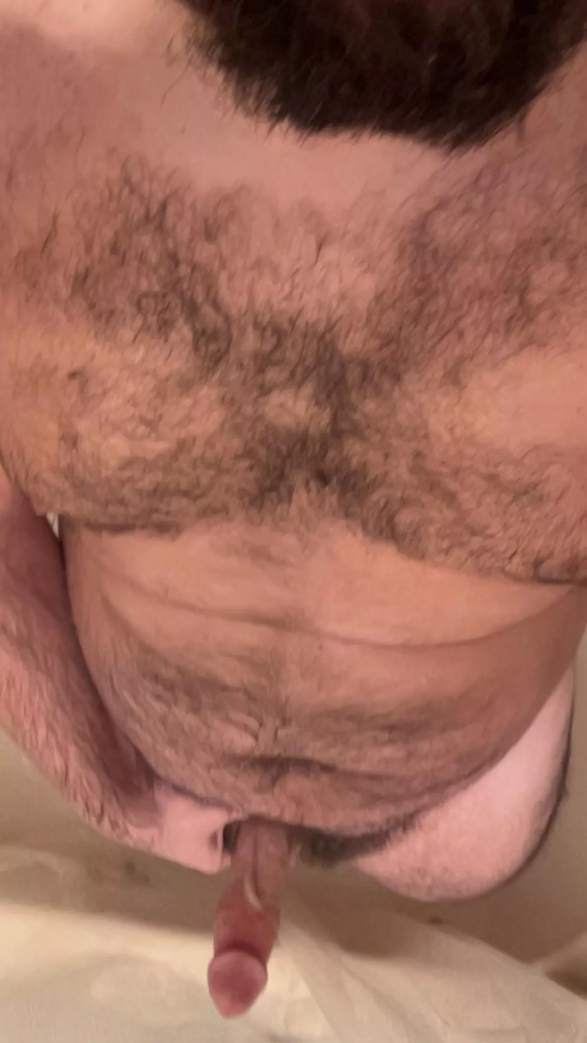 Worship this bear body and cock posted by mr4boy