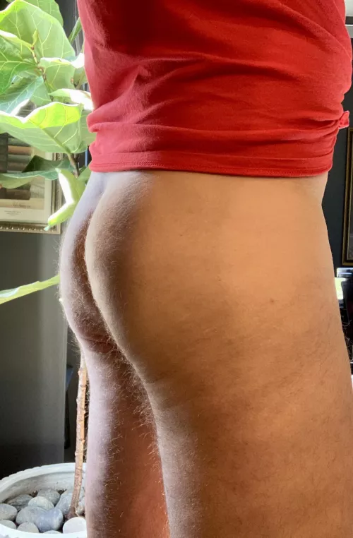 (38) hairy dad 🍑 by Nashguy85